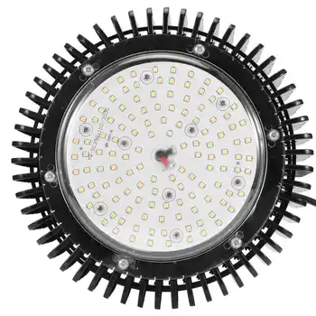 125LED Easy to use durable Plant Grow Light 4000K full spectrum Grow Lamp for Greenhouses Planting Tents Indoor Gardening
125LED Easy to use durable Plant Grow Light 4000K full spectrum Grow Lamp for Greenhouses Planting Tents Indoor Gardening