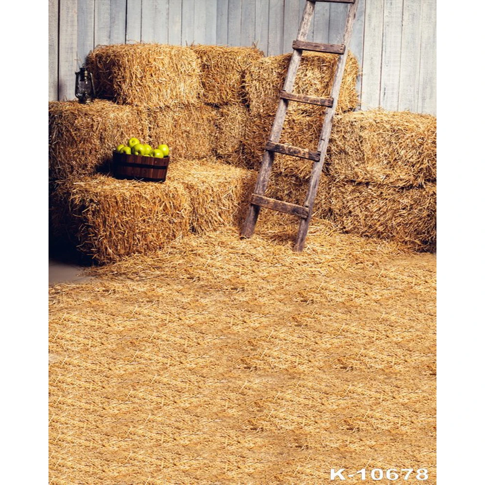 Haystack Children Photo Background Wooden Ladder Farm Warehouse Backdrops Green Apple Newborn Backdrop for Photo Studio
Haystack Children Photo Background Wooden Ladder Farm Warehouse Backdrops Green Apple Newborn Backdrop for Photo Studio