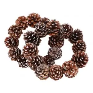 2Pcs Natural Dried Pine Cone Artificial Flower For Home Christmas Thanksgiving Craft DIY Acorn Garland Wreath Decoration
2Pcs Natural Dried Pine Cone Artificial Flower For Home Christmas Thanksgiving Craft DIY Acorn Garland Wreath Decoration
