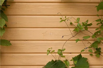 Vinyl Custom Photography Backdrops Props Flower and Wood Planks theme Photo Studio Background 20212-49
Vinyl Custom Photography Backdrops Props Flower and Wood Planks theme Photo Studio Background 20212-49