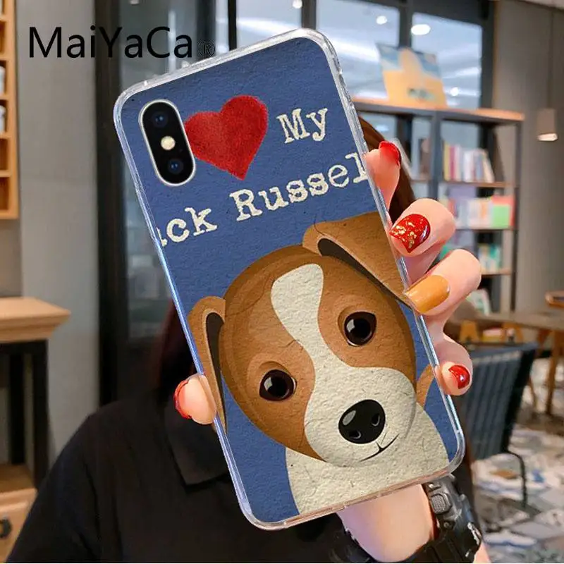 Jack Russell Terrier Dog