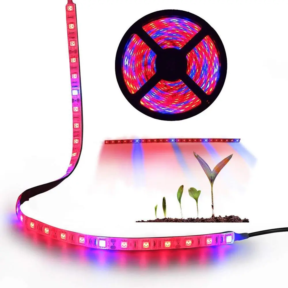 LED Plant Growth Light String 5050 SMD LED Light Waterproof Plant Light for Greenhouse
LED Plant Growth Light String 5050 SMD LED Light Waterproof Plant Light for Greenhouse