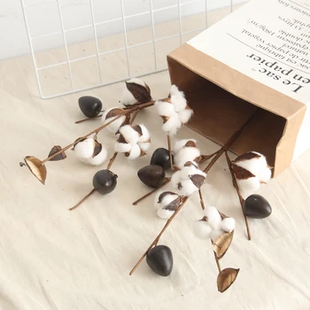 

5 Head Naturally Dried Cotton Flower Decorative Home Decoration DIY Crafting Dried Fruit Rustic Decor Wedding Decorations