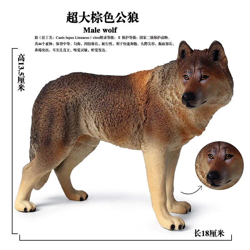 Children Model Plastic Solid Wild Animal Model Toy Dire Wolves Large Size Public Dogs Garage Kit Decoration Set
Children Model Plastic Solid Wild Animal Model Toy Dire Wolves Large Size Public Dogs Garage Kit Decoration Set