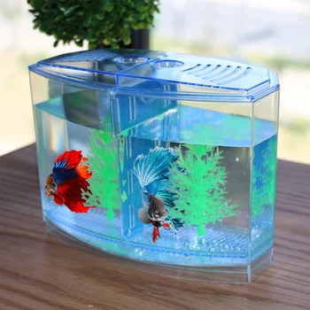 Spawning Fish Tank Partition Goldfish Ornament Aquarium Spawning Box Environmental Water Grass DIY Odorless Shrimp Fishbowl
Spawning Fish Tank Partition Goldfish Ornament Aquarium Spawning Box Environmental Water Grass DIY Odorless Shrimp Fishbowl