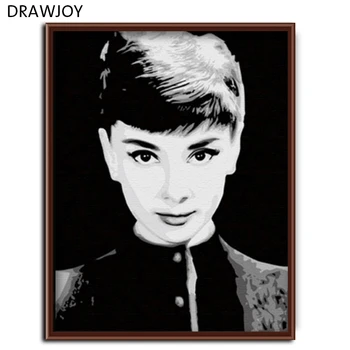 Frameless Wall Art DIY Oil Painting By Numbers DIY Canvas Oil Painting Movie Poster 40*50cm -Audrey Hepburn G004 
Frameless Wall Art DIY Oil Painting By Numbers DIY Canvas Oil Painting Movie Poster 40*50cm -Audrey Hepburn G004