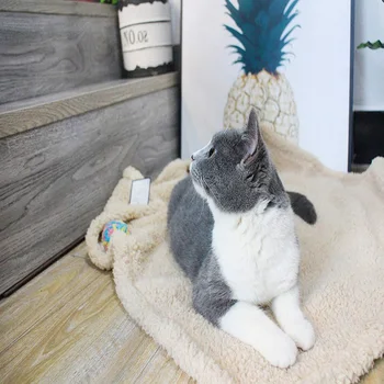 Plush Double Thicker Pet Cat Bed Blanket Kennel Mat Pet Cat Kitten Winter Keep Warm Sleep Quilt Pet Cat Christmas Gift Supplies
Plush Double Thicker Pet Cat Bed Blanket Kennel Mat Pet Cat Kitten Winter Keep Warm Sleep Quilt Pet Cat Christmas Gift Supplies