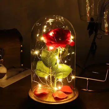 Romance Eternal Life Flower Glass Cover Beauty and Beast LED Battery Rose Lamp Birthday Valentine's Christmas Mother Day Gifts
Romance Eternal Life Flower Glass Cover Beauty and Beast LED Battery Rose Lamp Birthday Valentine's Christmas Mother Day Gifts
