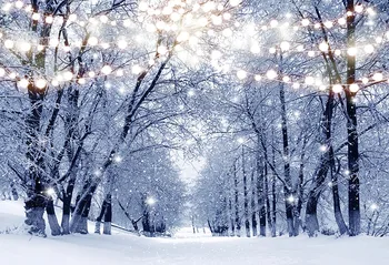 Vinyl Photo Backdrop snow Tree Photocall Photography Backgrounds Customized Photographic Backdrops For Photo Studio lv-2090
Vinyl Photo Backdrop snow Tree Photocall Photography Backgrounds Customized Photographic Backdrops For Photo Studio lv-2090