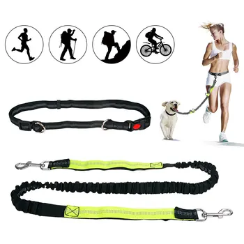 Hands-Free Dog Leash for Running Walking Hiking Reflective Retractable Durable Bungee Leash Lead with Adjustable Waist Belt
Hands-Free Dog Leash for Running Walking Hiking Reflective Retractable Durable Bungee Leash Lead with Adjustable Waist Belt