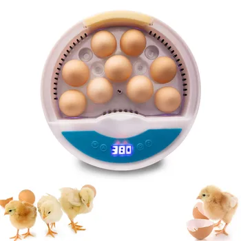 Mini Digital 9 Egg Incubator Poultry Hatcher Machine with 9 LED Light Egg Candler Tester and Temperaure Control Eggs Incubator
Mini Digital 9 Egg Incubator Poultry Hatcher Machine with 9 LED Light Egg Candler Tester and Temperaure Control Eggs Incubator