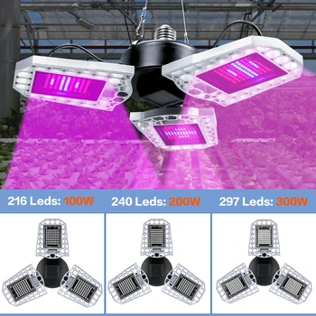 Hydroponics LED Grow Lamp For Plant Cultivation 220V Phyto Growth Light Bulb E27 Full Spectrum LED Seedling Fito Lamp 200W 300W
Hydroponics LED Grow Lamp For Plant Cultivation 220V Phyto Growth Light Bulb E27 Full Spectrum LED Seedling Fito Lamp 200W 300W
