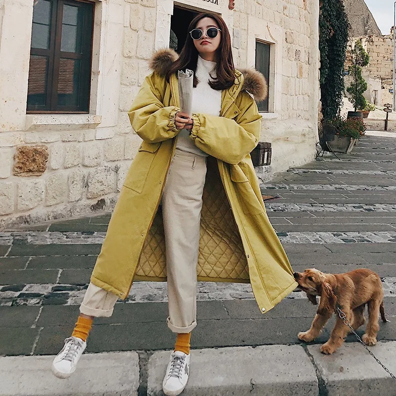 Photo Shoot CHIC Korean-style Beige Straight-Cut Large Fur Collar Hooded Pocket College Style Thick Workwear Cotton Overcoat Wom
Photo Shoot CHIC Korean-style Beige Straight-Cut Large Fur Collar Hooded Pocket College Style Thick Workwear Cotton Overcoat Wom