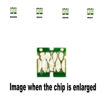 8pack 2B+2C+2M+2Y RDHBK RDHC RDHM RDHY for Epson Compatible ink cartridge disposable chip PX-048A 049A
8pack 2B+2C+2M+2Y RDHBK RDHC RDHM RDHY for Epson Compatible ink cartridge disposable chip PX-048A 049A
