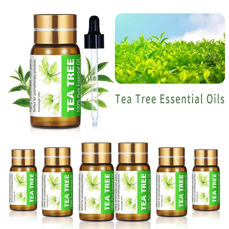 KIUNO 5ML Essential Oils 100% Pure Therapeutic Grade Oil Aromatherapy Aroma Quality External Use Premium Scent Natural |