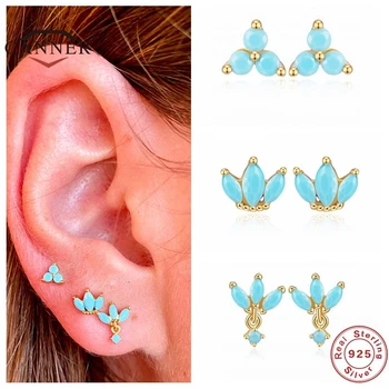 

CANNER Real 925 Sterling Silver Stud Earrings for Women Classic Clover Crown Zircon Piercing Earring Earings Jewelry pendientes