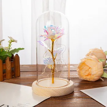 Silk Multicolor Romantic Decorative Glass Dome for Valentines Day Wedding Very Nice Silk Multicolor Romantic Craft To Lover
Silk Multicolor Romantic Decorative Glass Dome for Valentines Day Wedding Very Nice Silk Multicolor Romantic Craft To Lover