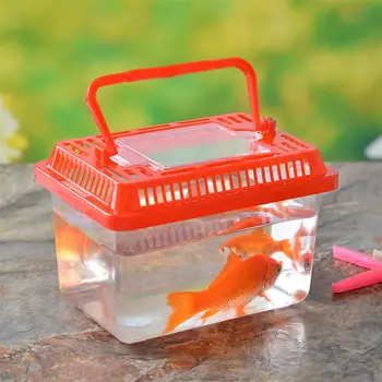 Mini Fish Tank Non-Toxic Fish Tank Plastic Handheld Fish Tank For Turtle And Pet Fish aquarium Accessories (Red/Green)
Mini Fish Tank Non-Toxic Fish Tank Plastic Handheld Fish Tank For Turtle And Pet Fish aquarium Accessories (Red/Green)
