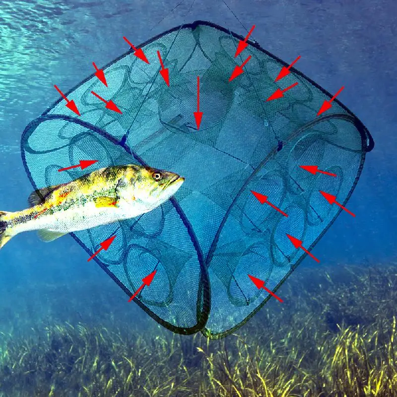 Automatic Folding Fishing Cage square Green Fishing Net Fishing Shrimp Hand Throw Net Net Loach Cage 5 Holes 9 Holes 21 Holes
Automatic Folding Fishing Cage square Green Fishing Net Fishing Shrimp Hand Throw Net Net Loach Cage 5 Holes 9 Holes 21 Holes