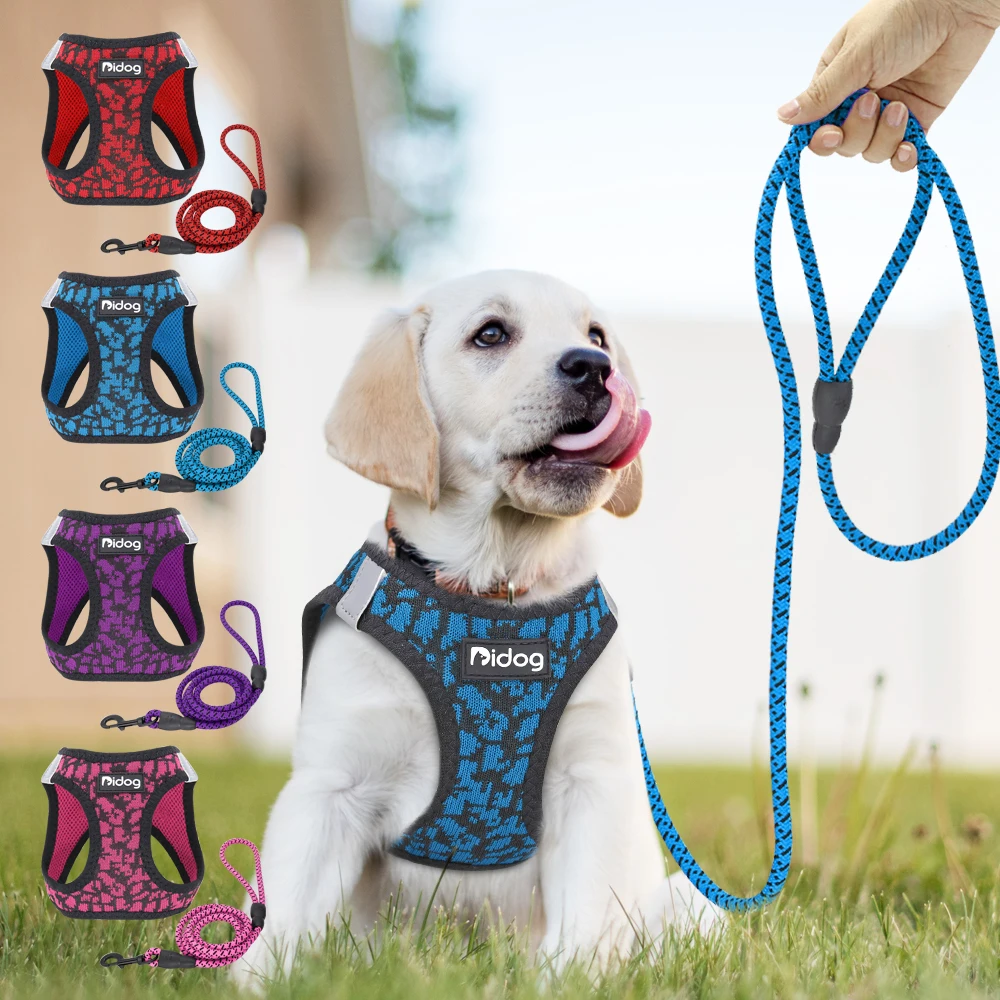 dog harness set