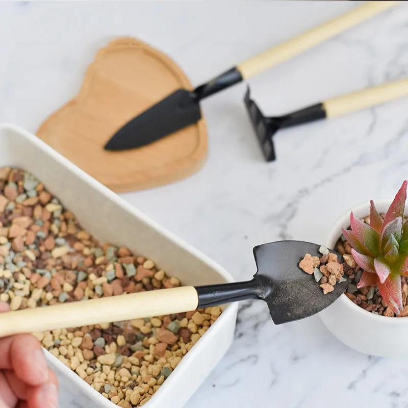 3 Pcs/set Mini Spade Shovel Harrow Flowerpot Tools Potted Plants Maintenance Wooden Handle Plant Soil Shovels Gardening Tools
3 Pcs/set Mini Spade Shovel Harrow Flowerpot Tools Potted Plants Maintenance Wooden Handle Plant Soil Shovels Gardening Tools