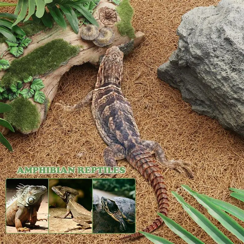 1PC Reptile Mat Natural Coconut Fiber Carpet Mat Liner Bedding Reptile Supplies For Lizard Turtle Snakes 60x40cm
1PC Reptile Mat Natural Coconut Fiber Carpet Mat Liner Bedding Reptile Supplies For Lizard Turtle Snakes 60x40cm