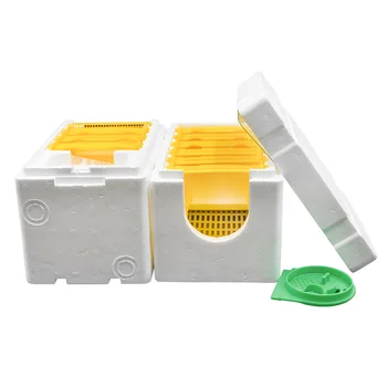 Beekeeping Tools Box 2 layer Harvest Queen Pollination Beekeeping For Bee Mating Copulation Queen Reserve Beehive Hive
Beekeeping Tools Box 2 layer Harvest Queen Pollination Beekeeping For Bee Mating Copulation Queen Reserve Beehive Hive