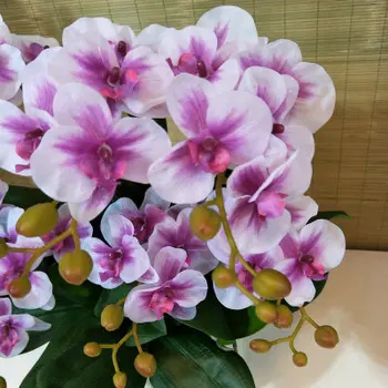 12Pcs Real Touch Latex Artificial Flower Phalaenopsis Bouquet Hand Feel Felt For Home Wedding Decor Fake Flower Butterfly orchid 
12Pcs Real Touch Latex Artificial Flower Phalaenopsis Bouquet Hand Feel Felt For Home Wedding Decor Fake Flower Butterfly orchid