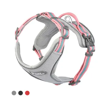 Pet Dog Harness Reflective Breathable Adjustable Safety Nylon Straps For Fashion Dogs and Five Colors are Available
Pet Dog Harness Reflective Breathable Adjustable Safety Nylon Straps For Fashion Dogs and Five Colors are Available