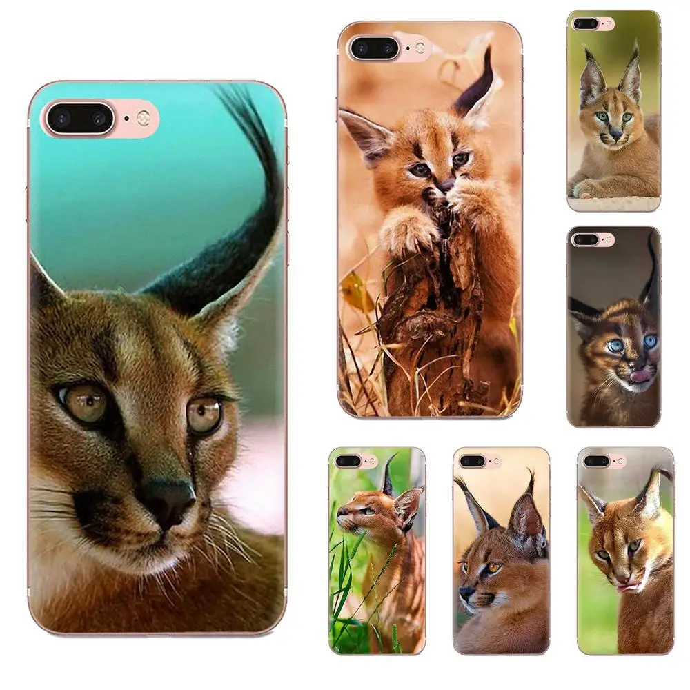 Мягкий художественный принт для Xiao mi 3 4 4C 4i 5 5s 5X6 6X8 SE Pro Lite A1 Max x 2 Note African Lynx Caracal Big Cat |