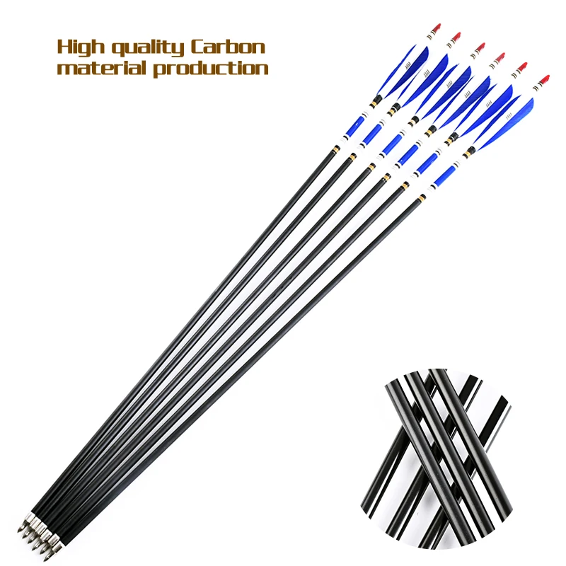 6PC 30 Inch Spine 500 Carbon Arrow Blue Turkey Feather Archery Recurve Bow Hunting Arrow
6PC 30 Inch Spine 500 Carbon Arrow Blue Turkey Feather Archery Recurve Bow Hunting Arrow