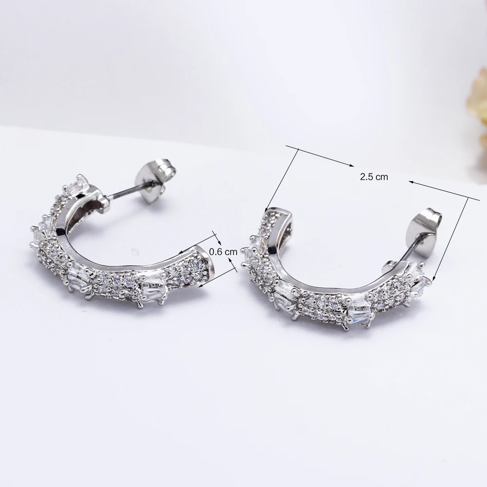 Hoop earrings (2)