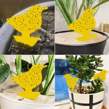 big Sell 12PCS Hanging Fly Trap Fruit Fly Catcher Sticky Traps Yellow Board Catching Aphid Insects Killer Pest Control Stickers
big Sell 12PCS Hanging Fly Trap Fruit Fly Catcher Sticky Traps Yellow Board Catching Aphid Insects Killer Pest Control Stickers