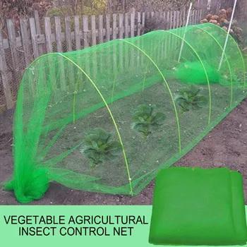 Large Garden Crop Plant Protection Net Netting Bird Net Pest Insect Animal Vegetable Care Big Mesh Nets Insect Protection Net
Large Garden Crop Plant Protection Net Netting Bird Net Pest Insect Animal Vegetable Care Big Mesh Nets Insect Protection Net