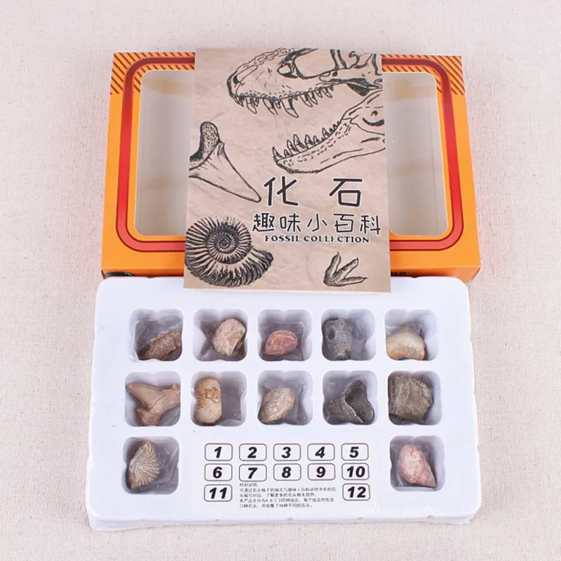 XOC3051 (4)