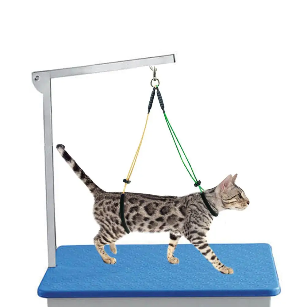 HobbyLane Stainless Steel Grooming Loop Table Arm Body Holder Rope Harness for Pet Dog Cat Random Color
HobbyLane Stainless Steel Grooming Loop Table Arm Body Holder Rope Harness for Pet Dog Cat Random Color