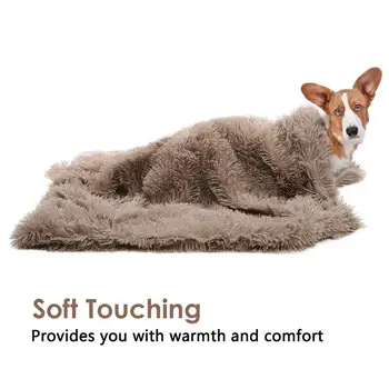 Portable Summer Mat 3 Colors Pet Cushion Cat S- XL Pet Blanket Comfortable Plush Pad None Toxic Dog Heat Relief
Portable Summer Mat 3 Colors Pet Cushion Cat S- XL Pet Blanket Comfortable Plush Pad None Toxic Dog Heat Relief