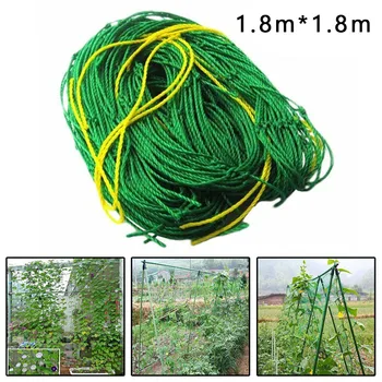 Garden Green Nylon Trellis Netting Support Climbing Bean Plant Nets Grow Fence Plant Climbing Net 2020 New Arrival For Home Diy
Garden Green Nylon Trellis Netting Support Climbing Bean Plant Nets Grow Fence Plant Climbing Net 2020 New Arrival For Home Diy