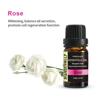 Wholesale 10ml Rose Organic Essential Oils for Aromatherapy Diffusers Body Oil Relaxing Sleep Aid Aromatherapy
Wholesale 10ml Rose Organic Essential Oils for Aromatherapy Diffusers Body Oil Relaxing Sleep Aid Aromatherapy