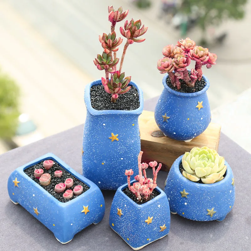 New Cute Succulent Flower Pot Ceramic Combination Set Desktop Small Fresh Succulent Flower Pot Window Sill Ornament Decoration
New Cute Succulent Flower Pot Ceramic Combination Set Desktop Small Fresh Succulent Flower Pot Window Sill Ornament Decoration