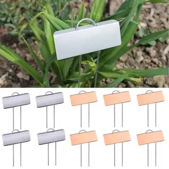 10pcs Reusable Large Faced Insertion Label Plants Marker Angled Yard Flower Pot Nursery Tag Home Garden 10 Inch Easy Read
10pcs Reusable Large Faced Insertion Label Plants Marker Angled Yard Flower Pot Nursery Tag Home Garden 10 Inch Easy Read