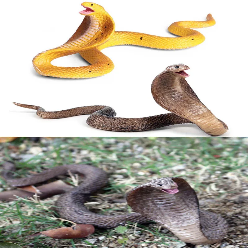 Realistic Simulation Rubber Snake Toy Garden lifelike Joke Prank Gift Halloween Party Props to Scare Birds
Realistic Simulation Rubber Snake Toy Garden lifelike Joke Prank Gift Halloween Party Props to Scare Birds