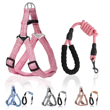 Dog Leash and Collar Set New Elasticity Pet Chain Leash for Large Medium Small Dog Cat Supplies Chest Harness Set Dog Accessorie 
Dog Leash and Collar Set New Elasticity Pet Chain Leash for Large Medium Small Dog Cat Supplies Chest Harness Set Dog Accessorie