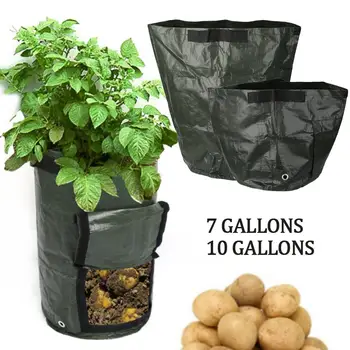 Potato Planter Bags PE Vegetable Convenient Green Creative Flower Pot Plant Grow Bag Economic Planting Bag Home Garden Lawn
Potato Planter Bags PE Vegetable Convenient Green Creative Flower Pot Plant Grow Bag Economic Planting Bag Home Garden Lawn