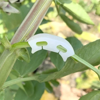Anti-Bend Watermelon Hanging Seedling Clip Tomato Fixing Clip Fruit Sapling Reinforcement Clip Spike Handle Hanging Mand 50pcs
Anti-Bend Watermelon Hanging Seedling Clip Tomato Fixing Clip Fruit Sapling Reinforcement Clip Spike Handle Hanging Mand 50pcs