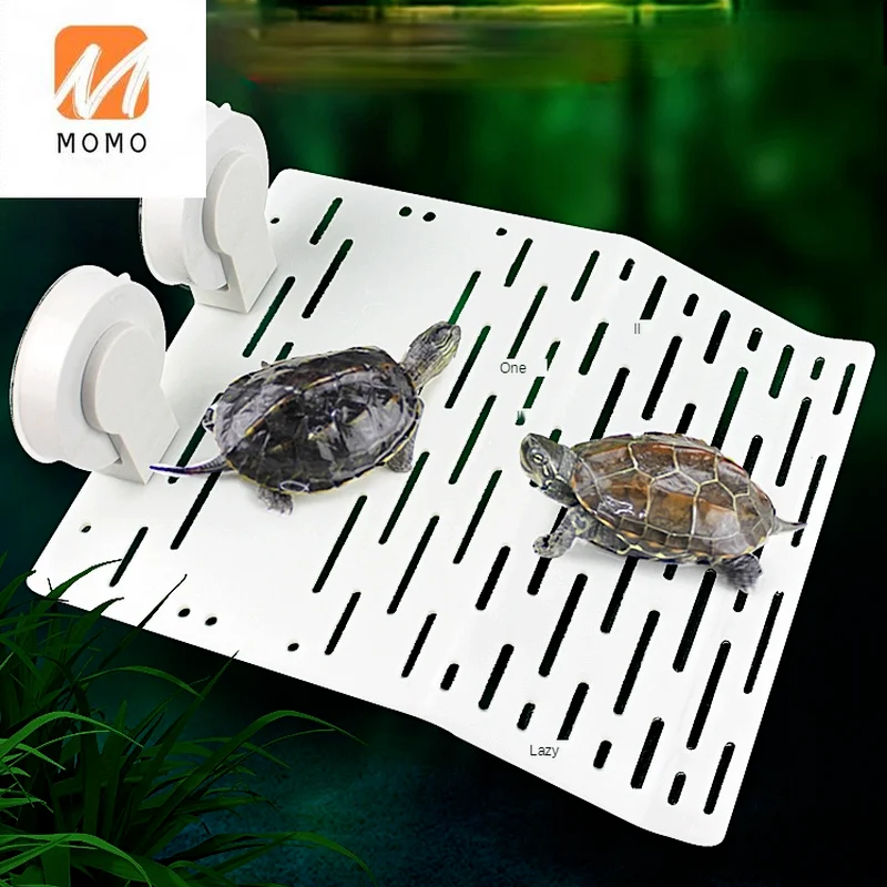 Turtle Table Supplies Drying Back Table Floating Island Climbing Cylinder High Water Level Deep Water Ladder Rest
Turtle Table Supplies Drying Back Table Floating Island Climbing Cylinder High Water Level Deep Water Ladder Rest