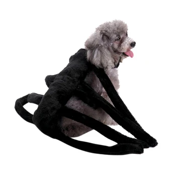 All Season Pet Dog Cosplay Costume Funny Novltly Spider Design Party Clothing Shorts For Small-Medium Dogs S-L Sizes Optional 
All Season Pet Dog Cosplay Costume Funny Novltly Spider Design Party Clothing Shorts For Small-Medium Dogs S-L Sizes Optional