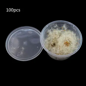 100Pcs Natural Dandelion Seed Small Glass Ball Fillings Resin Wish Dried Pressed Flower Earrings Necklace Jewelry Making
100Pcs Natural Dandelion Seed Small Glass Ball Fillings Resin Wish Dried Pressed Flower Earrings Necklace Jewelry Making