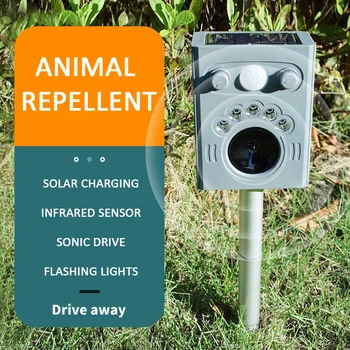 Ground-inserted Solar Animal Repeller Bird Repeller Cat And Dog Stray Animal Repeller Ultrasonic Repeller Outdoor Garden Supply
Ground-inserted Solar Animal Repeller Bird Repeller Cat And Dog Stray Animal Repeller Ultrasonic Repeller Outdoor Garden Supply
