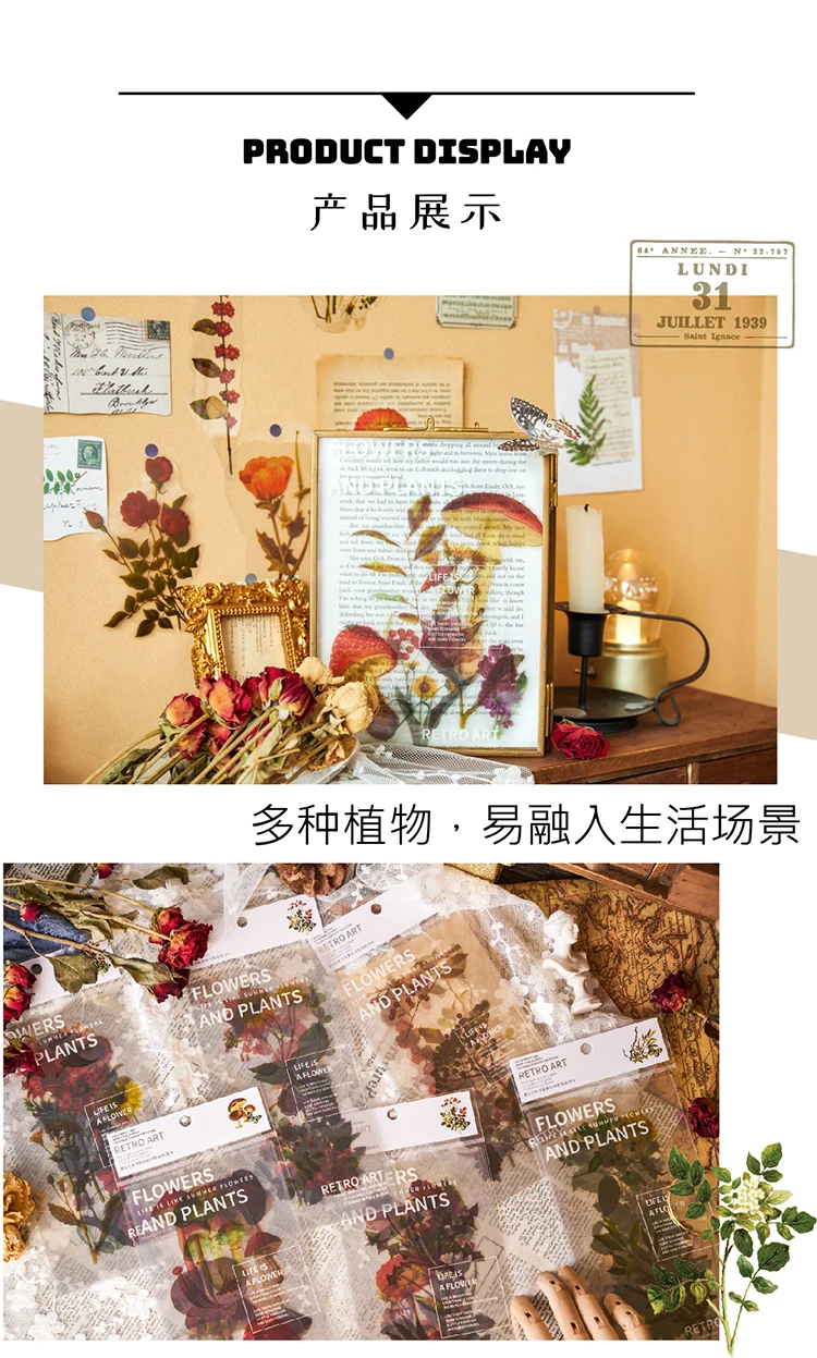 详情切片_03